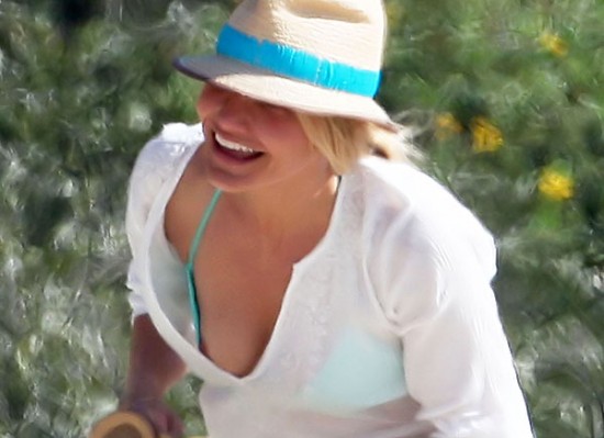 Cameron Diaz nipple slip